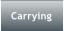 Carrying